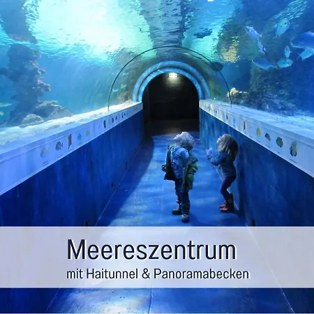 Bio Wichtelweide - Minze