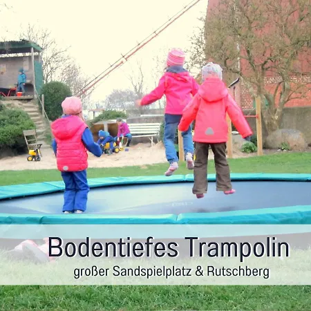 Bio Wichtelweide - Minze *