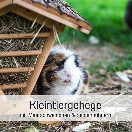 Bio Wichtelweide - Minze Lägenhet *