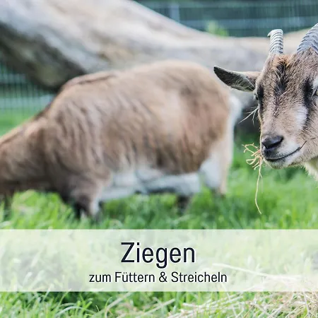 Bio Wichtelweide - Minze * Fehmarn