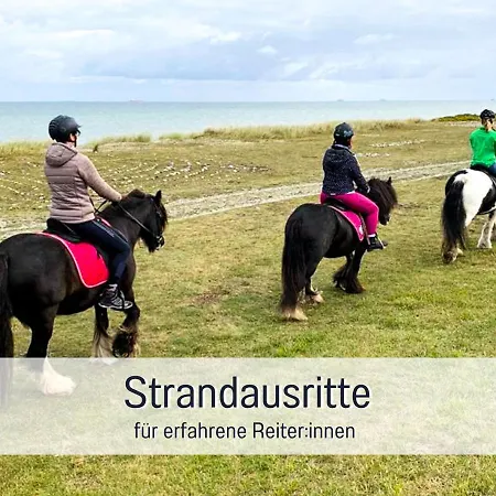 Bio Wichtelweide - Minze * Fehmarn