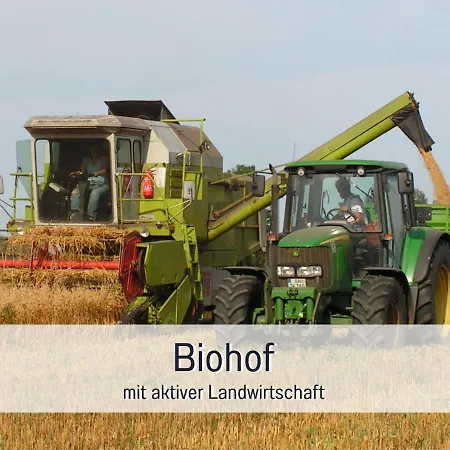 Bio Wichtelweide - Minze Fehmarn