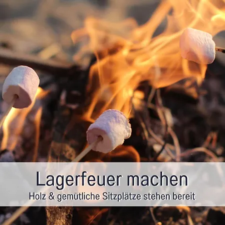 Bio Wichtelweide - Minze * Fehmarn